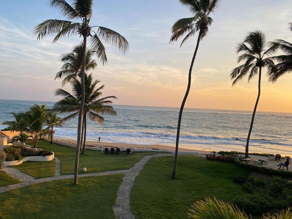 Cabarete Beachfront Condos At Nanny Estate C-5 Kültér fotó