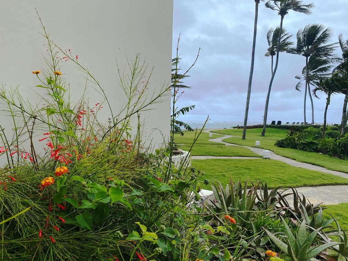 Cabarete Beachfront Condos At Nanny Estate C-5 Kültér fotó